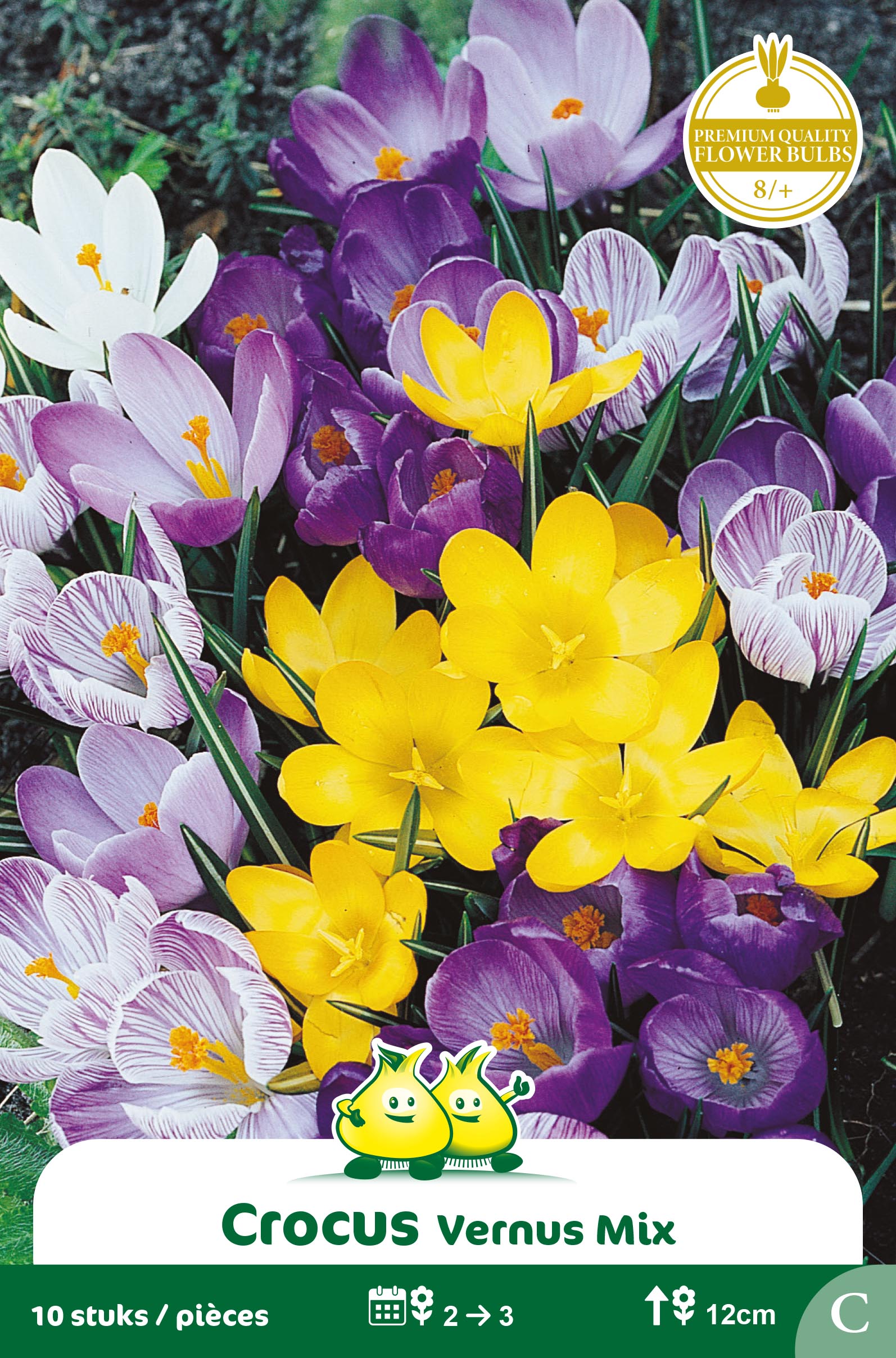 ZAKJES CROCUS GEMENGD C