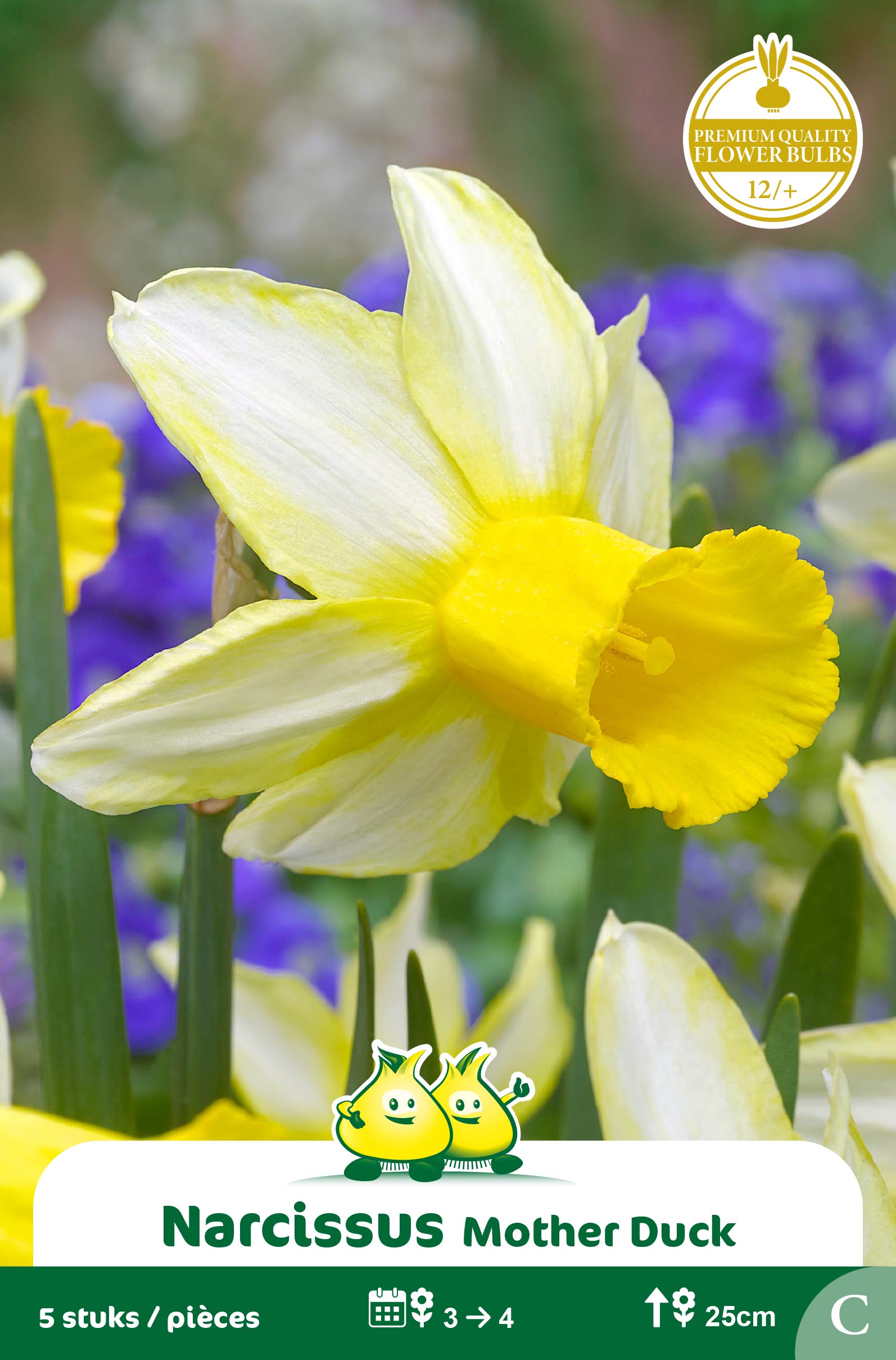 SACHET BOTANIQUE NARCIS MOTHER DUCK