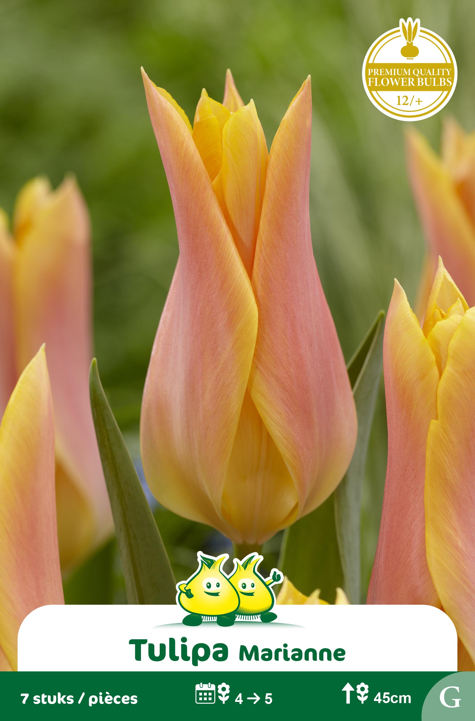 SACHET FLEUR DE LIS MARIANNE