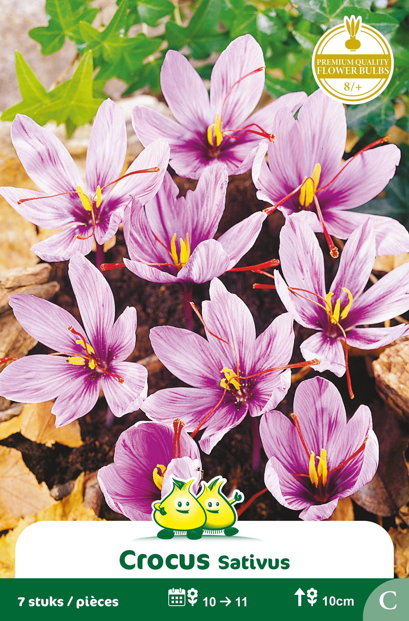 ZAKJES CROCUS SATIVUS C
