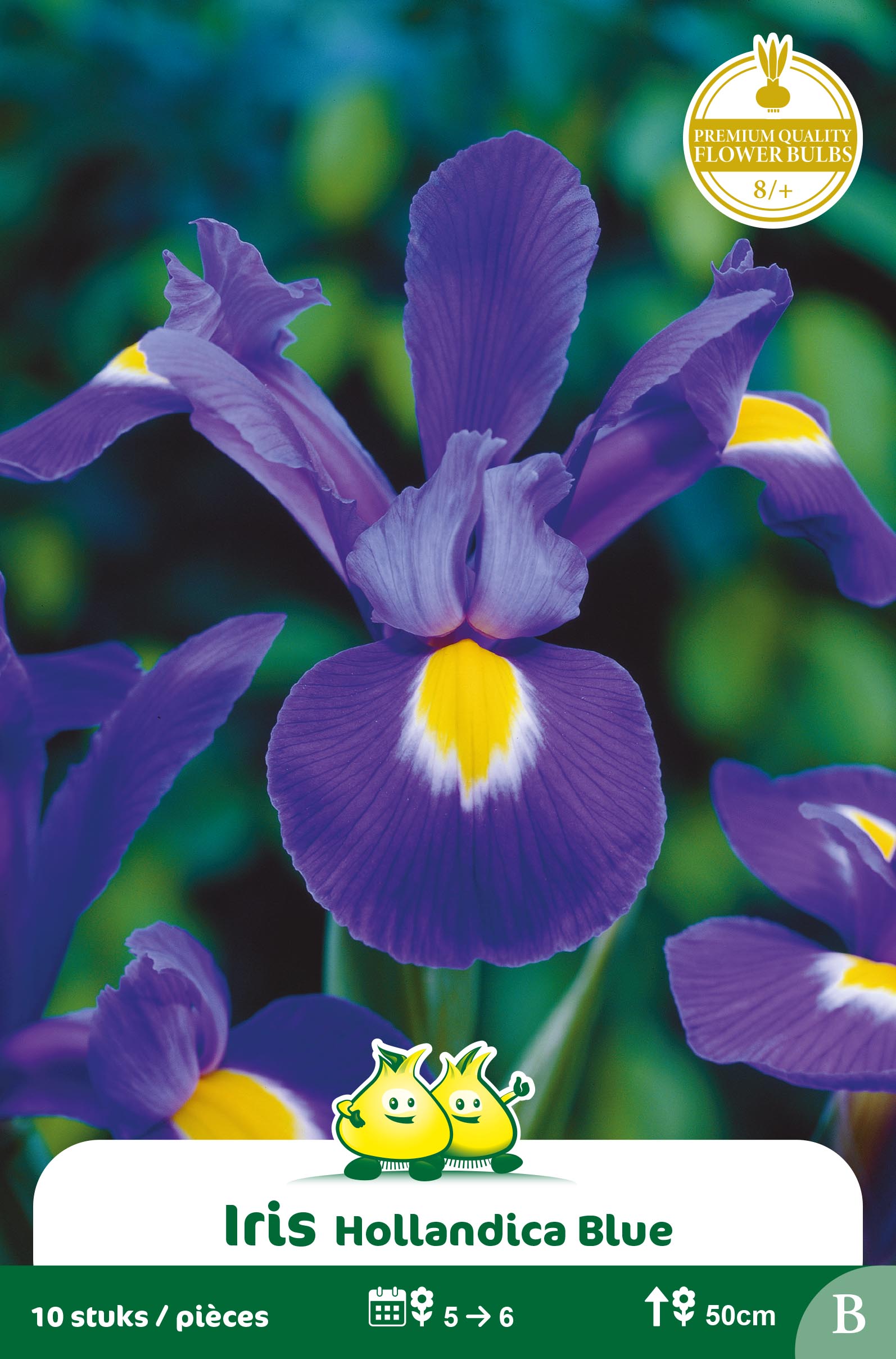 SACHET IRIS PROFESSOR BLAUW B