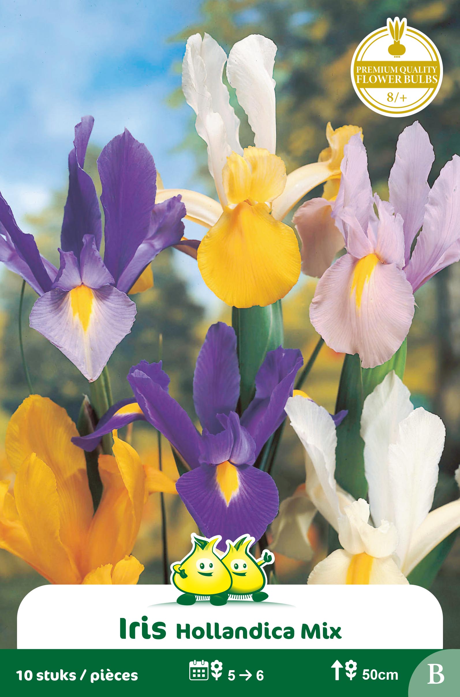 SACHET IRIS GEMENGD B