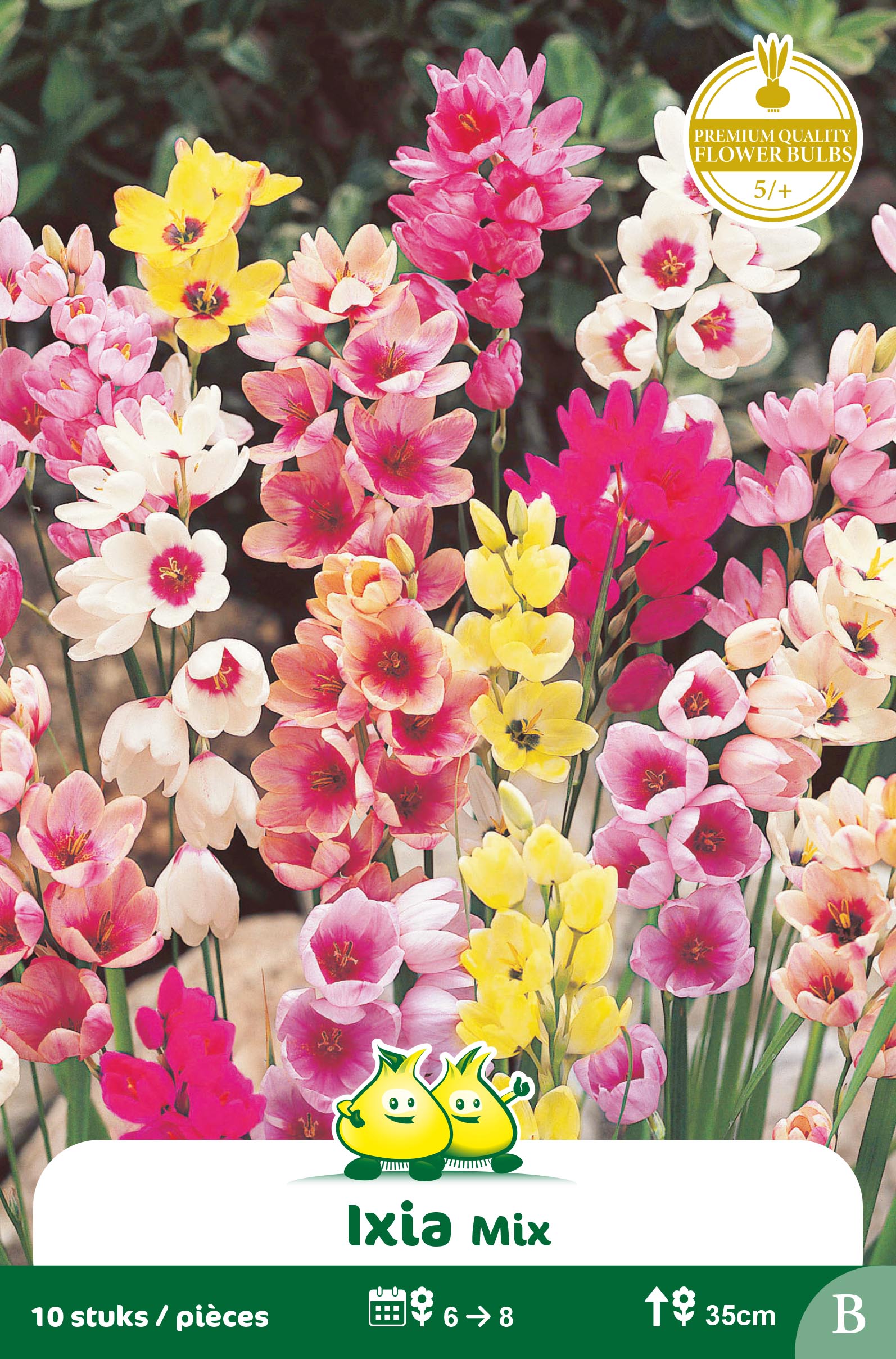 SACHET IXIA GEMENGD B