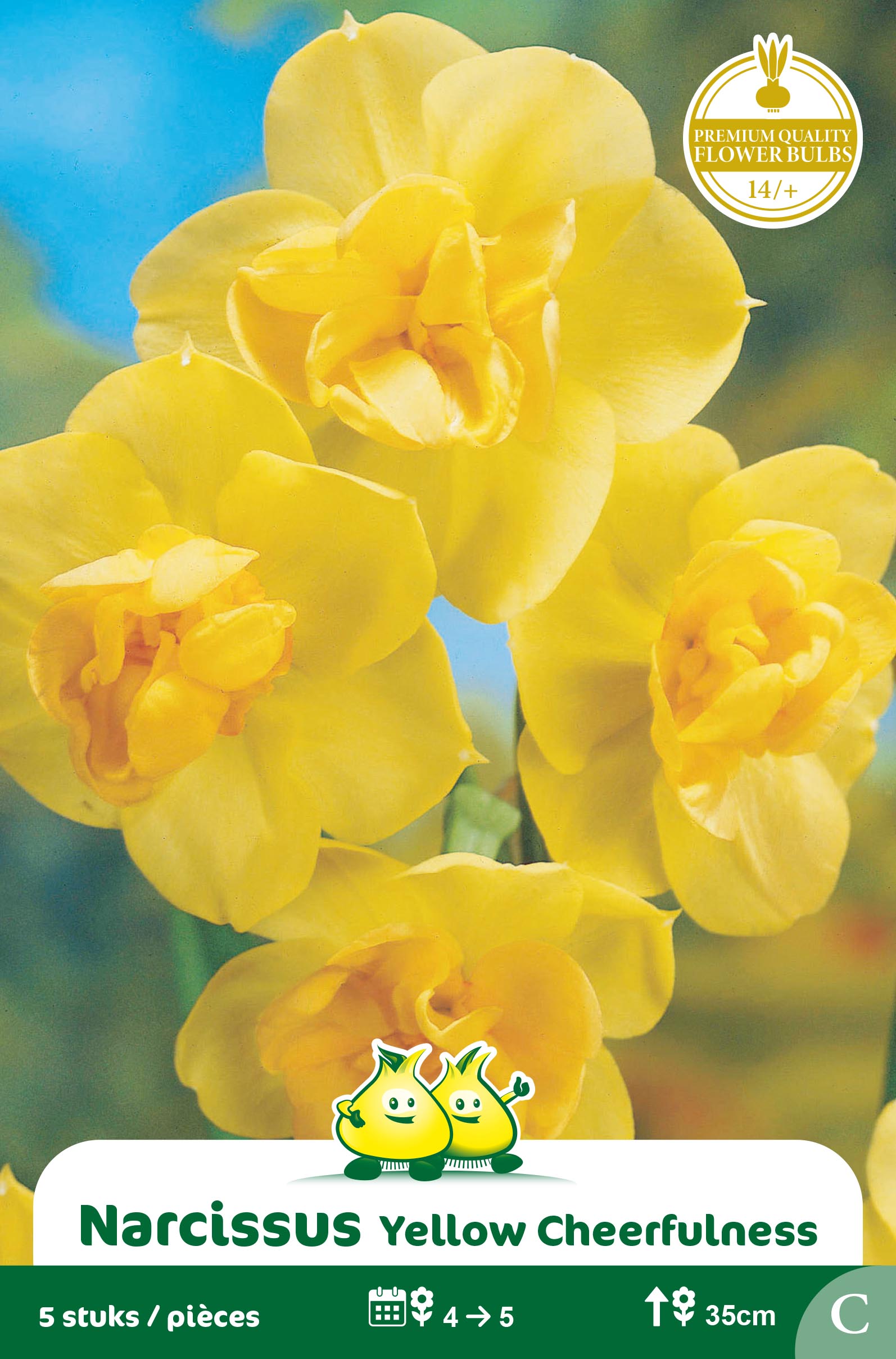 SACHET NARCIS YELLOW CHEERFULNESS