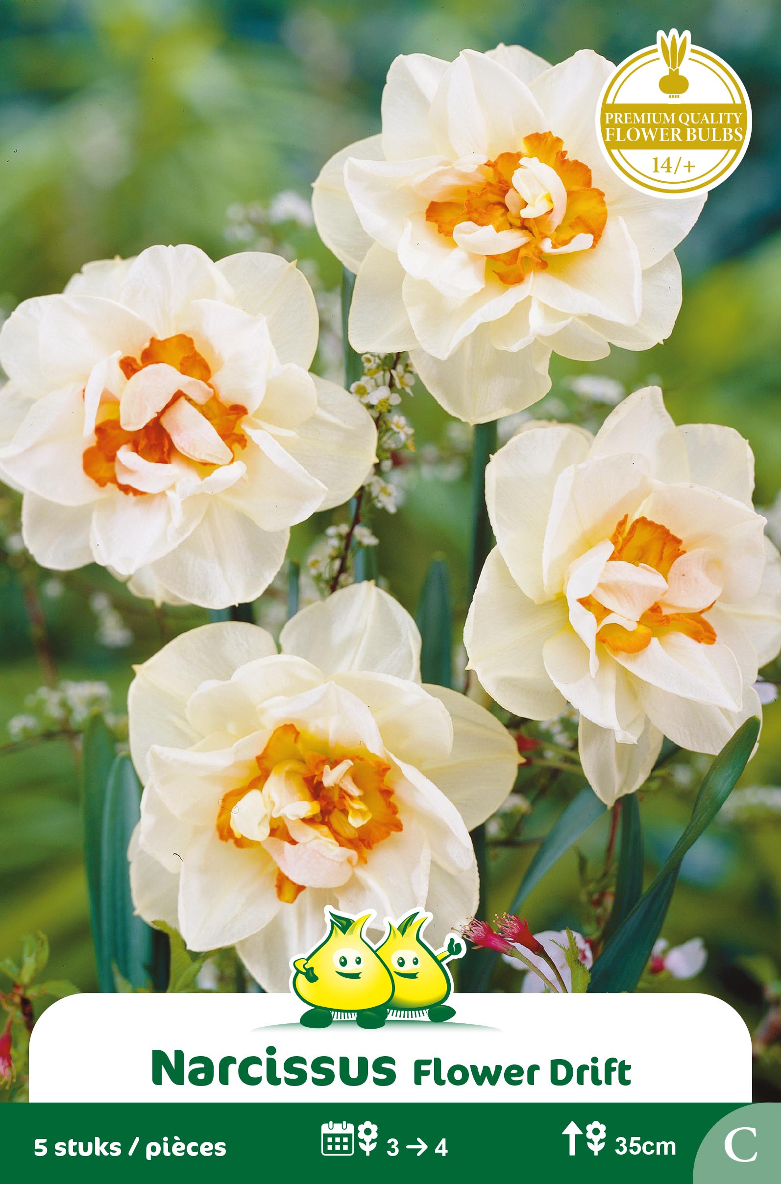 SACHET NARCIS FLOWER DRIFT