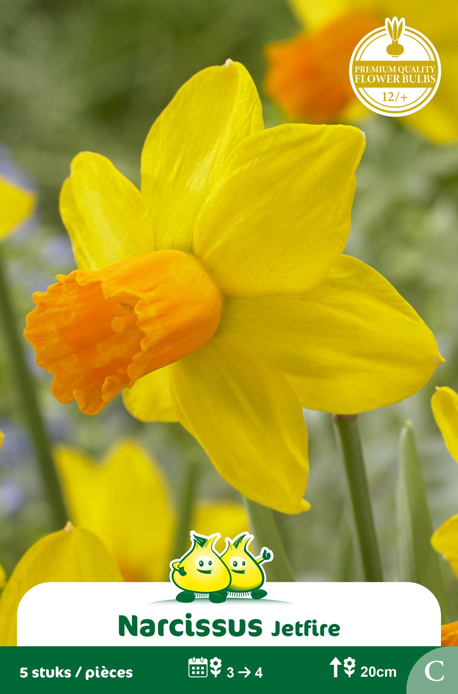 SACHET BOTANIQUE NARCIS JETFIRE C