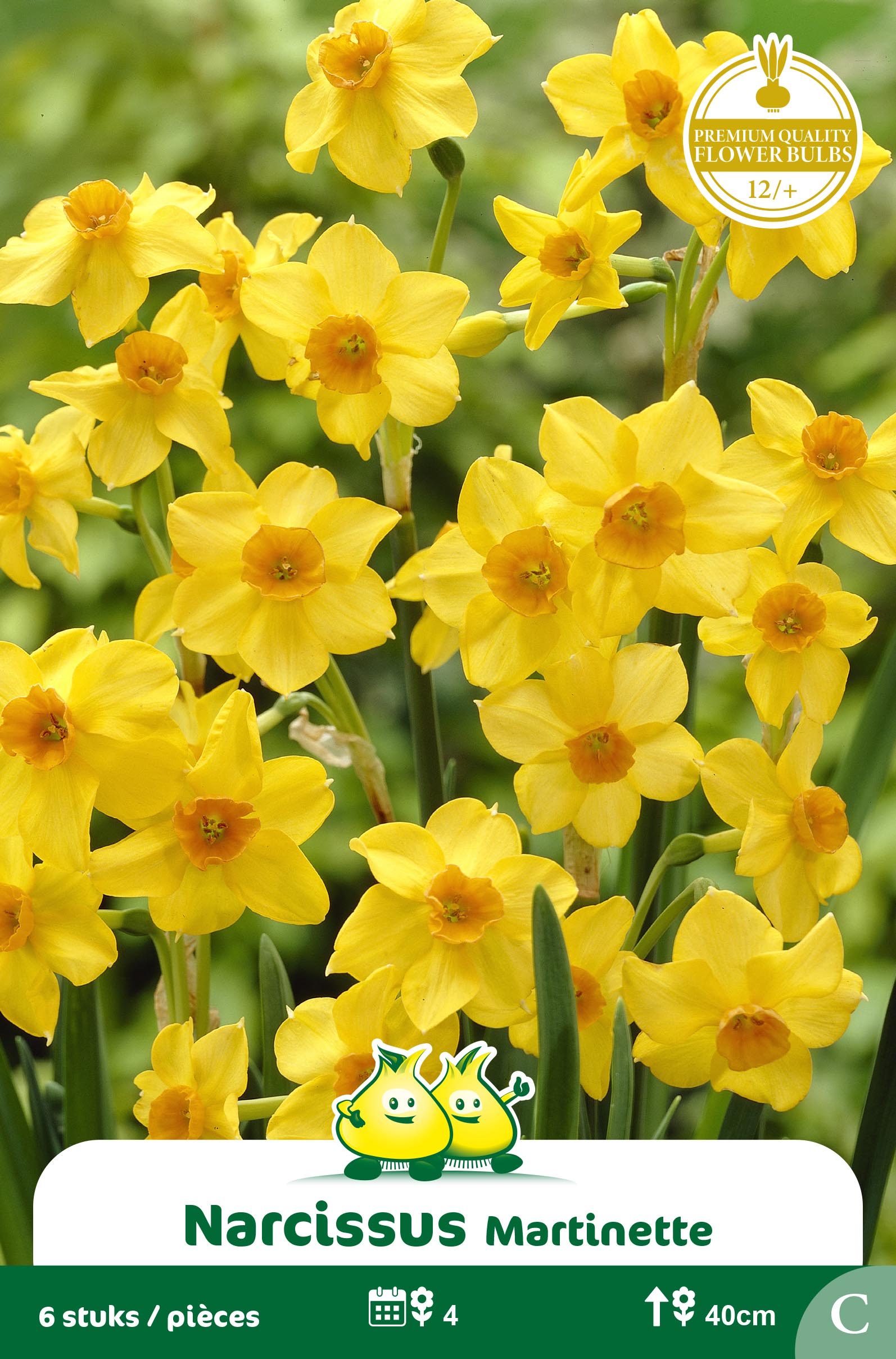 SACHET BOTANIQUE NARCIS MARTINETTE C