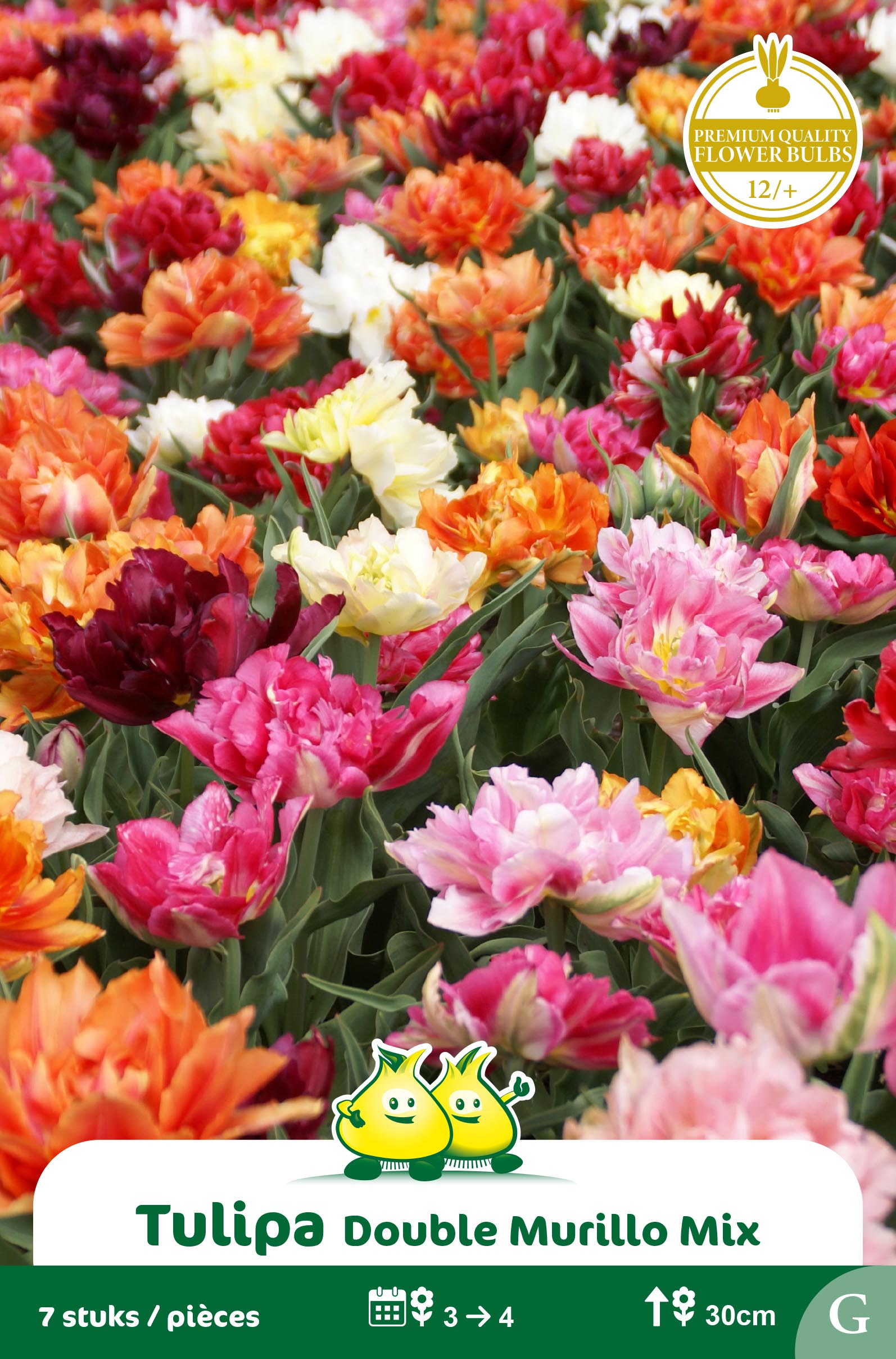 SACHET TULIPES DOUBLE HATIVE MIX E