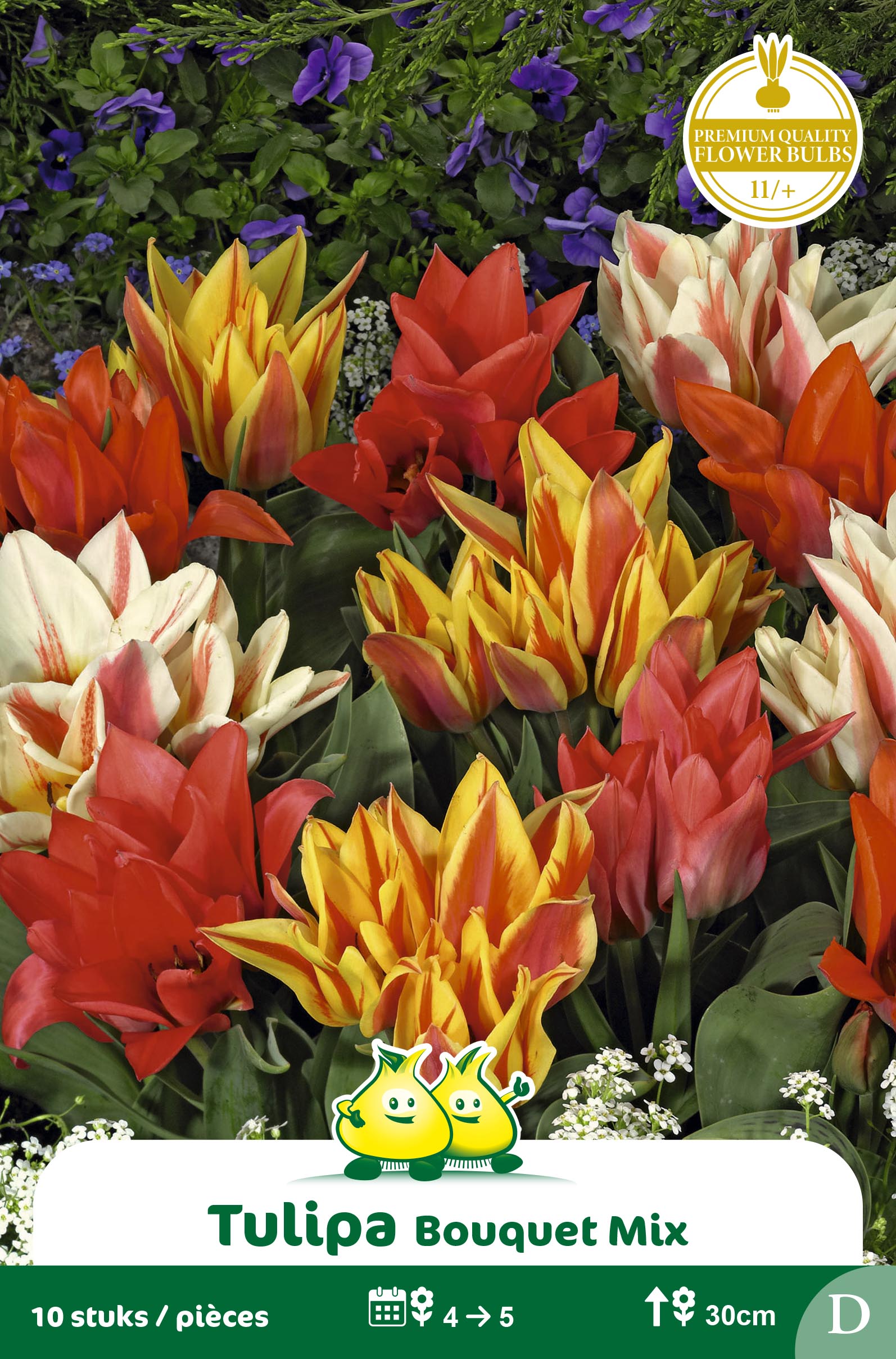 SACHET TULIPES BOUQUET MIX