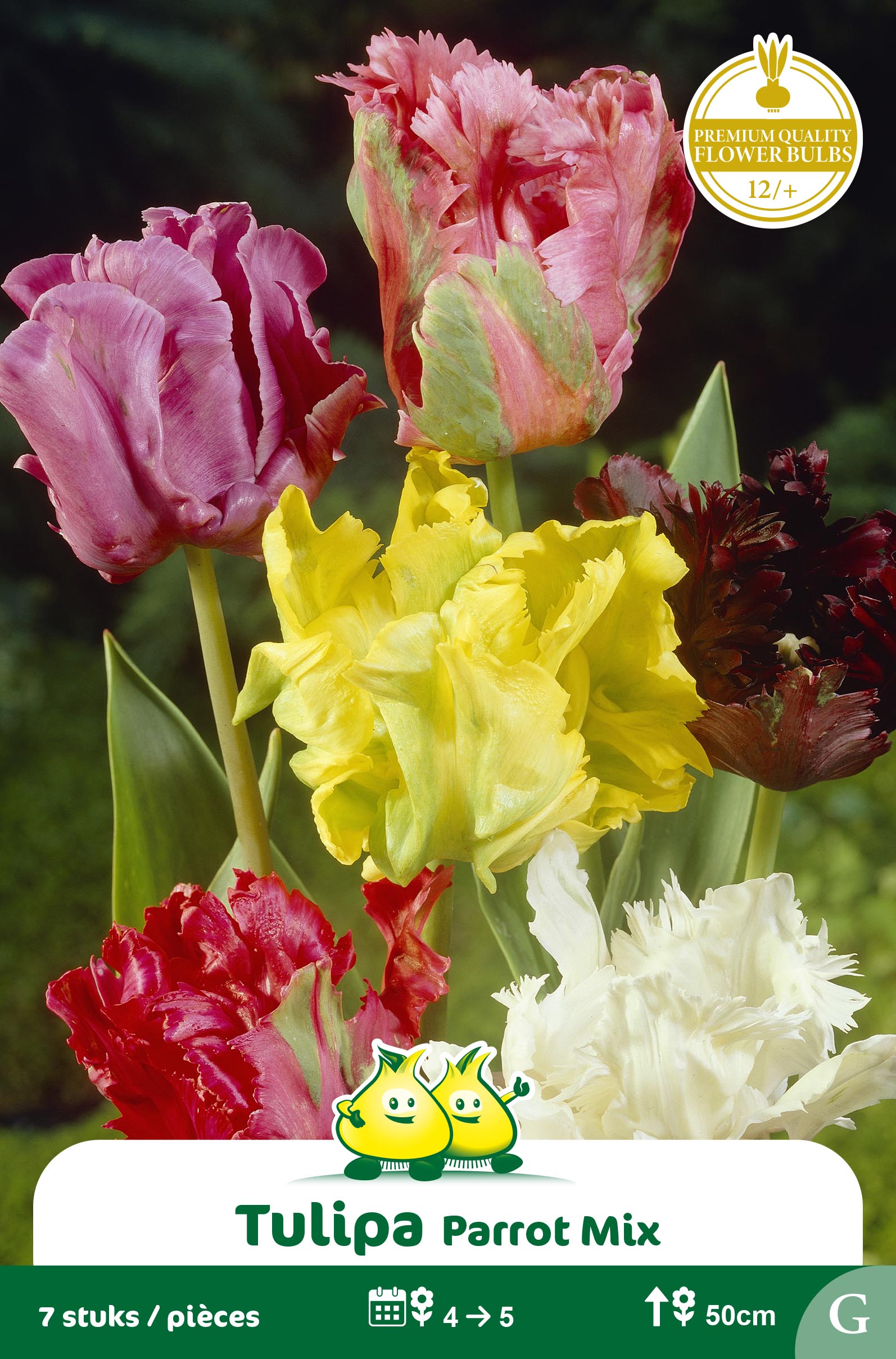 SACHET PEROQUET MIX 