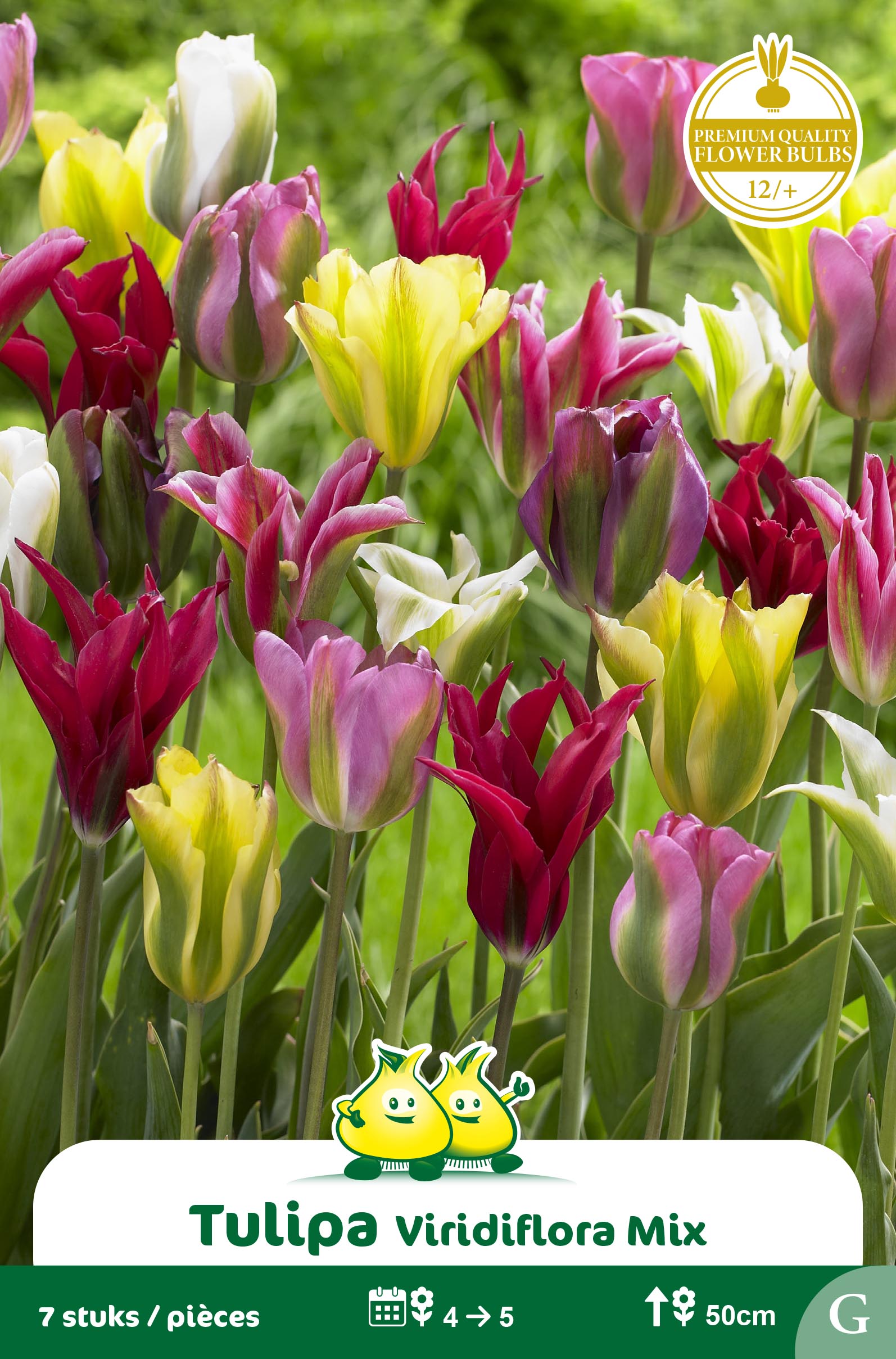 SACHET VIRIDIFLORA MIX G