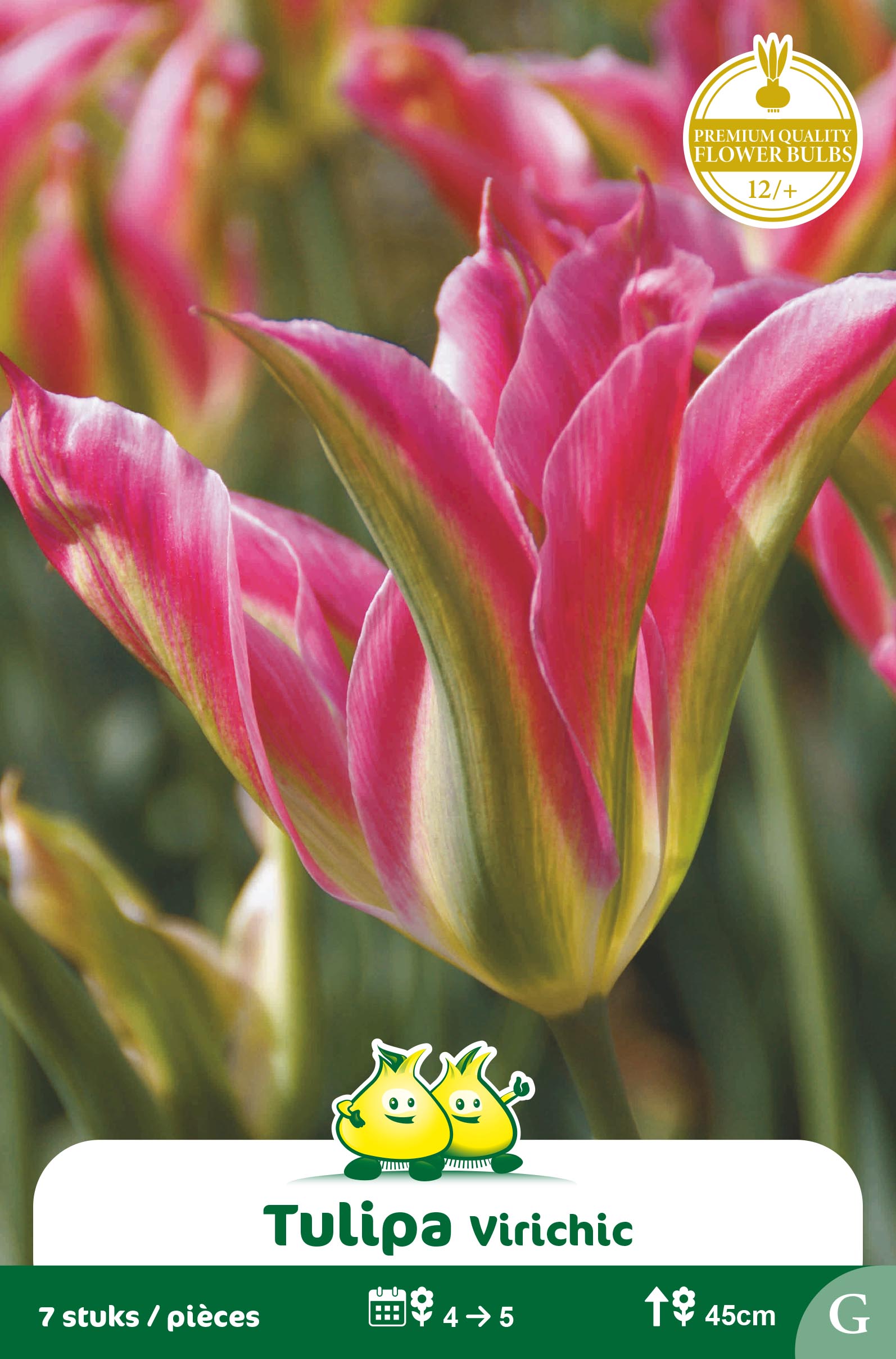 SACHET VIRIDIFLORA VIRICHIC