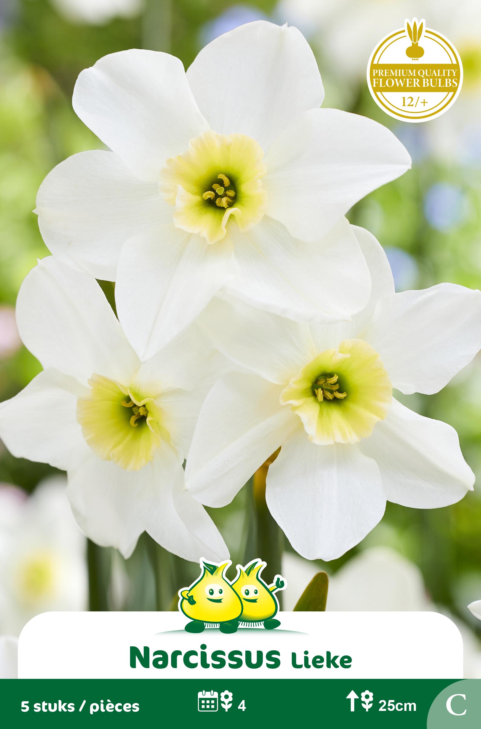 SACHET BOTANIQUE NARCIS LIEKE C