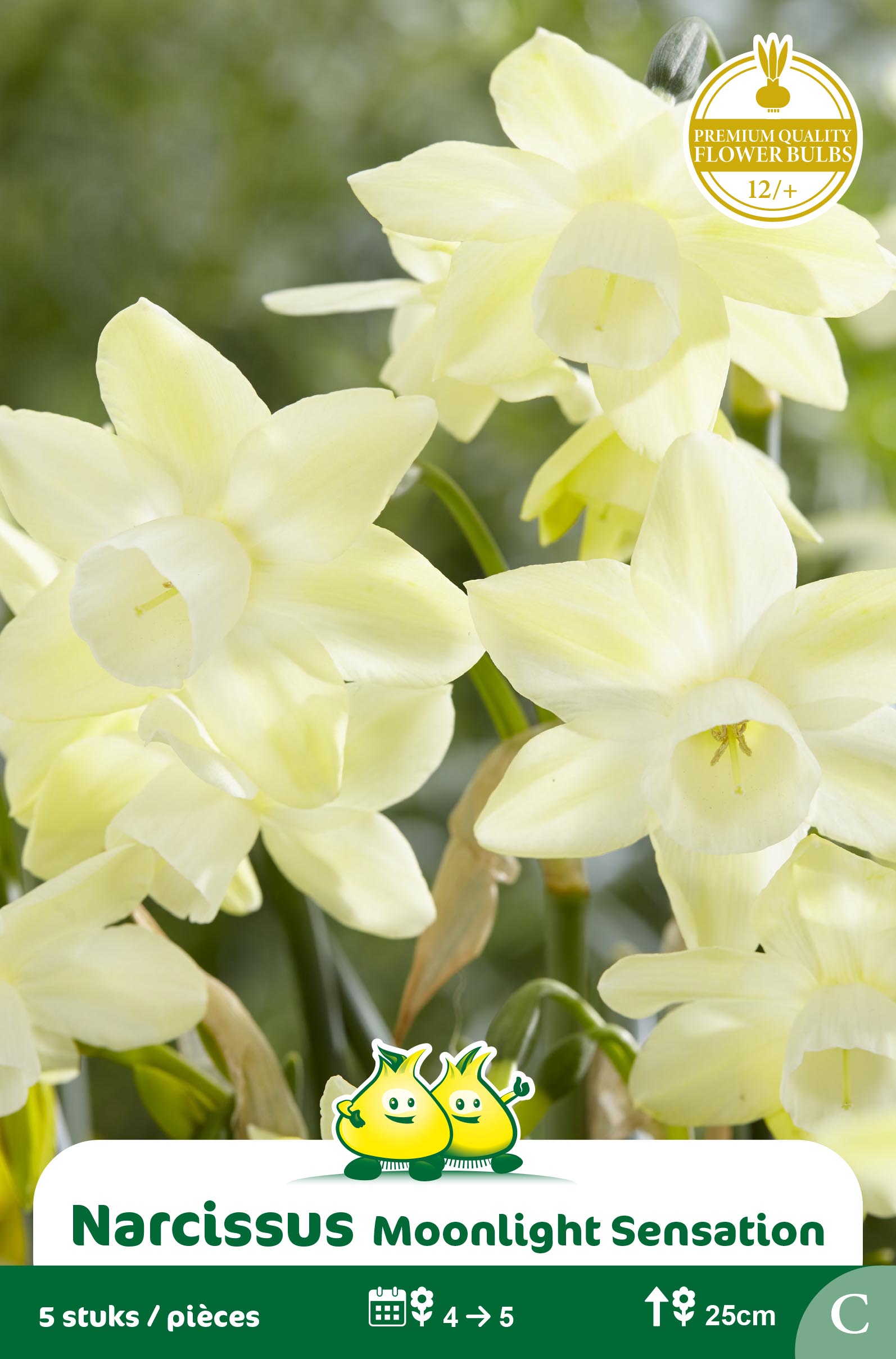 SACHET BOTANIQUE NARCIS MOONLIGHT SENSATION C