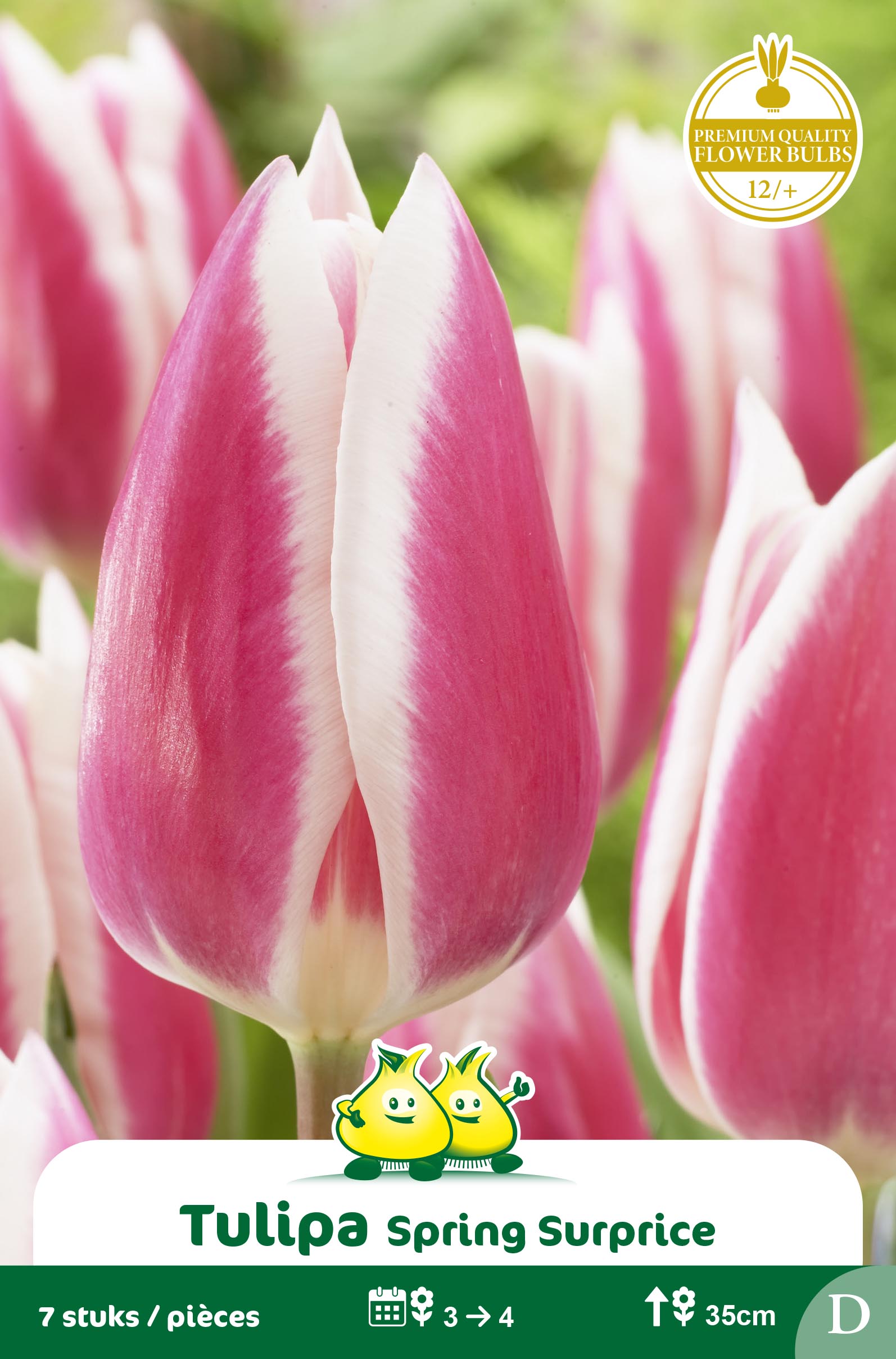 SACHET SIMPLE HATIF SPRING SURPRISE