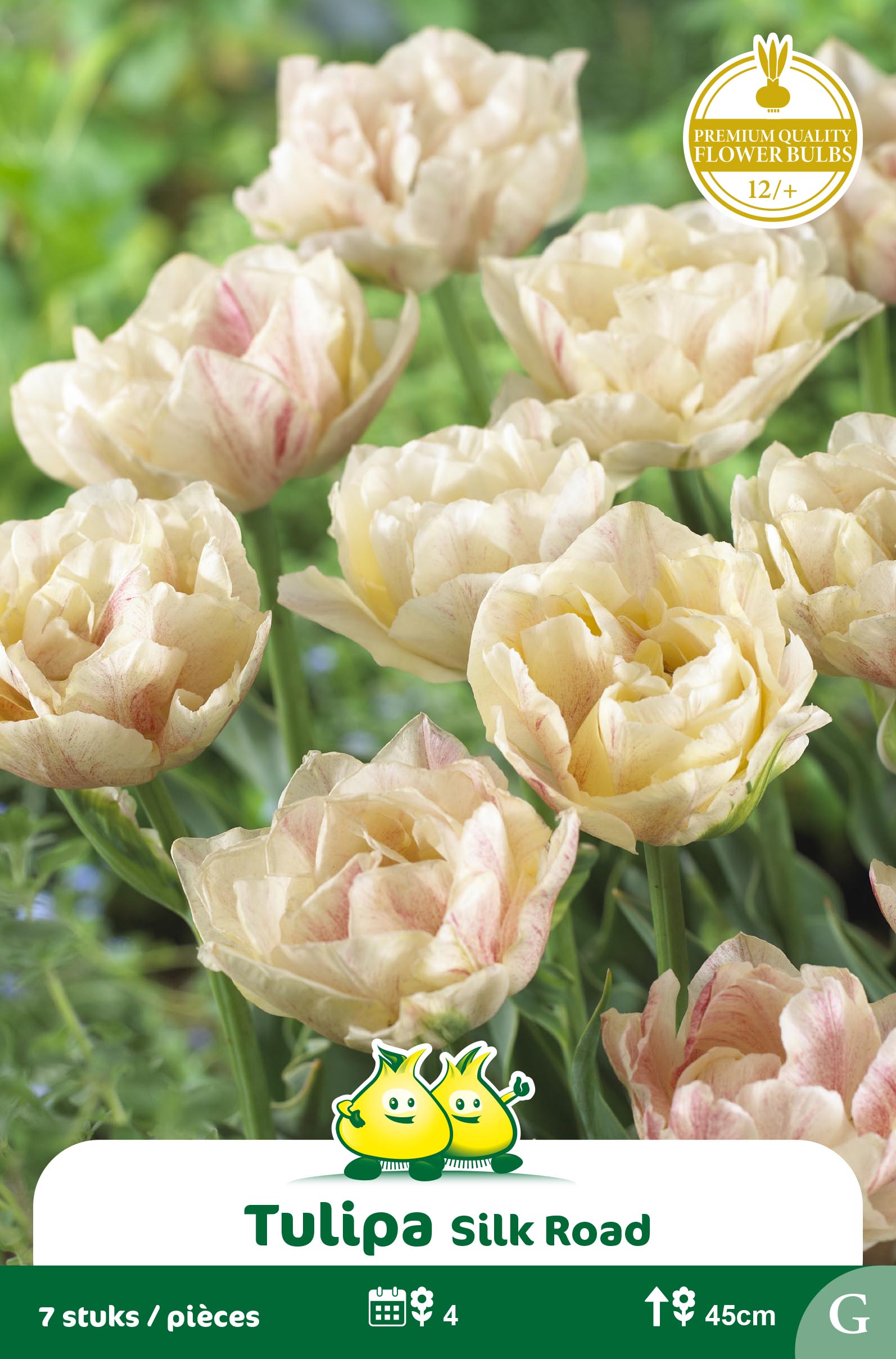 ZAKJES DUBBELE TULPEN SILK ROAD