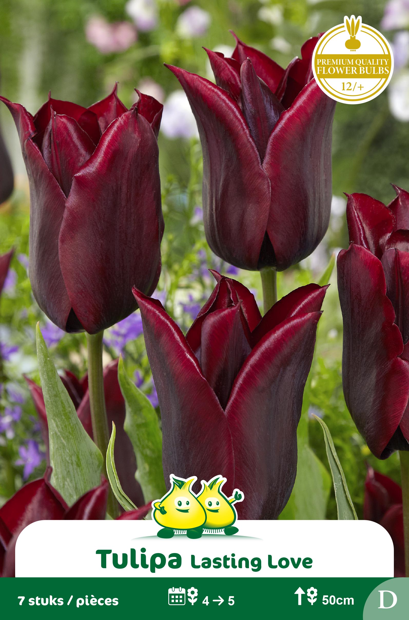 SACHET TULIPES TRIUMPH LASTING LOVE