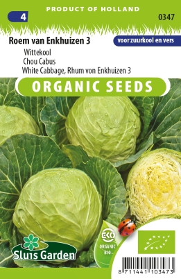 Chou cabus blanc Roem van Enkhuizen 3