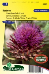 Artichaut Sauvage, Cardon