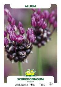 images/productimages/small/n043.jpg