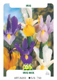 Iris Gemengd