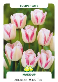 Tulpen Make Up
