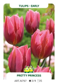 images/productimages/small/n797.jpg