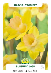 images/productimages/small/n834.jpg