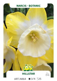 Narcis Bot Hillstar