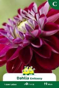 images/productimages/small/zv549.jpg
