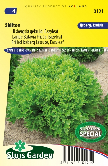 Laitue Batavia frisée Eazyleaf