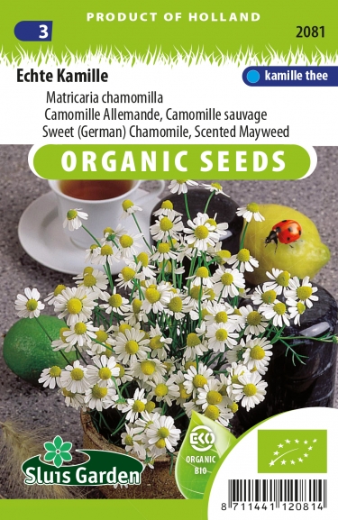 Kamille Echte bio (Matricaria chamomilla)