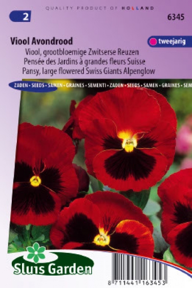 Viola x wittrockiana Alpenglow/Avondrood
