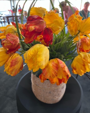 100 tulipes Arne Quinze