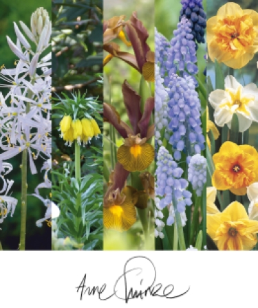 Arne Quinze Secret Garden mix 5000 bulbes