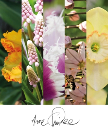 Arne Quinze Secret Garden mix 5000 bulbes