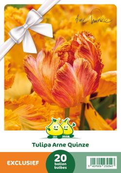 Tulipa Arne Quinze emballage cadeau 20 bulbes