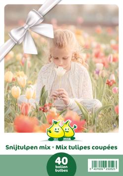 Snijtulpen mix - cadeau verpakking