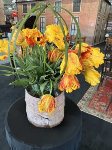 100 tulipes Arne Quinze