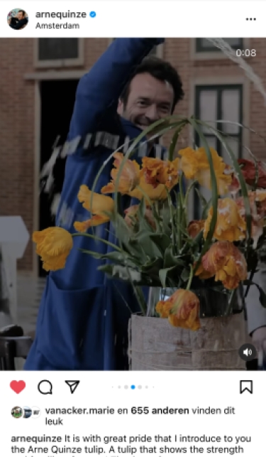 100 tulipes Arne Quinze