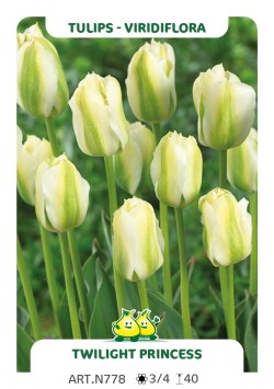 Tulp Twilight Princess