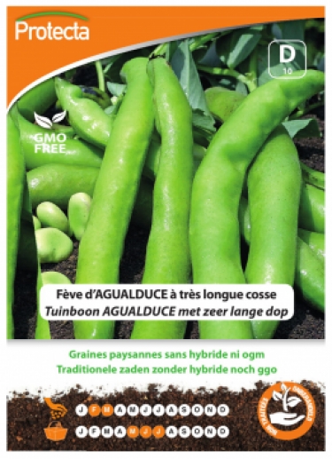 Fève d'AGUALDUCE à très longue cosse PRO010
