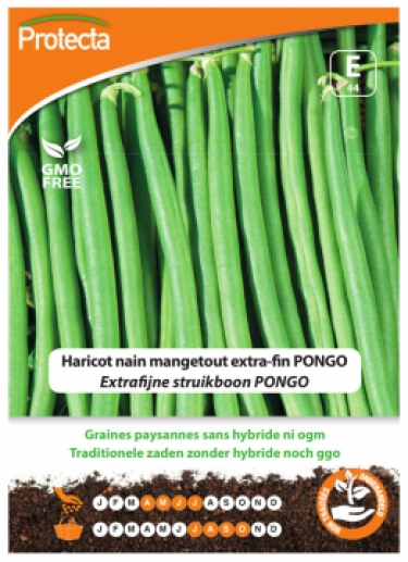 Haricot nain mangetout extra-fin PONGO PRO044