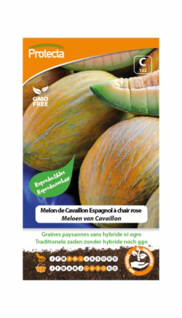 Melon de Cavaillon Espagnol à chair rose PRO122