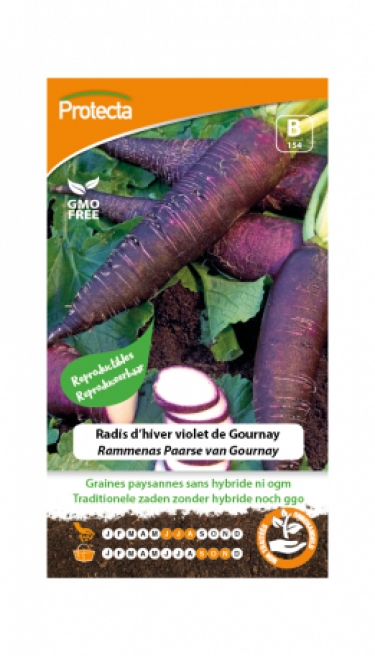 Radis d'hiver violet de Gournay PRO154