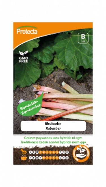 Rhubarbe  PRO160