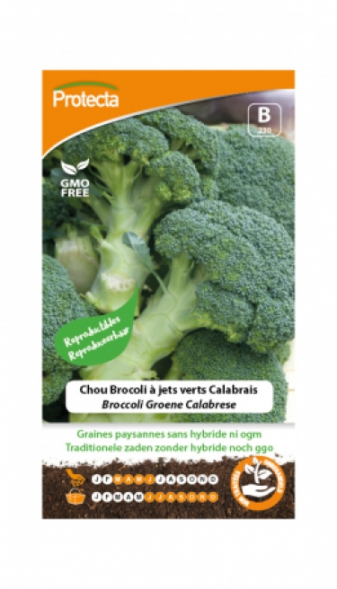 Broccoli Groene Calabrese PRO230