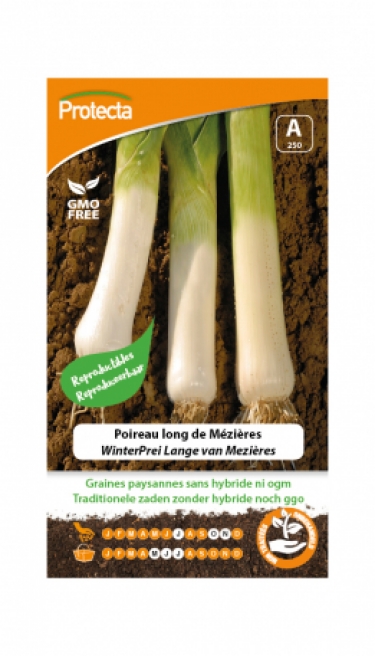 Poireau long de Mézières PRO250