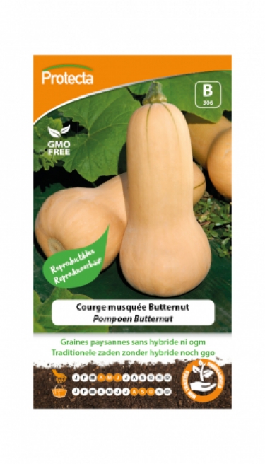 Courge musqu?e Butternut