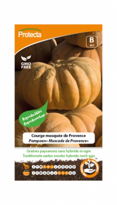 Courge musquée de Provence PRO307